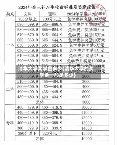 清华大学奖学金多少(清华大学的奖学金一般是多少)