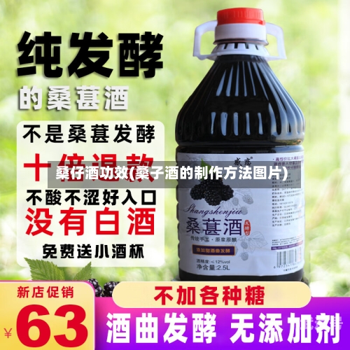 桑仔酒功效(桑子酒的制作方法图片)