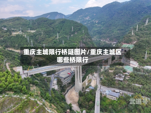 重庆主城限行桥隧图片/重庆主城区哪些桥限行