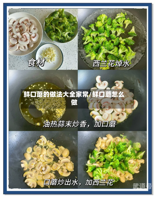 鲜口蘑的做法大全家常/鲜口蘑怎么做
