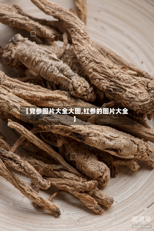 【党参图片大全大图,红参的图片大全】