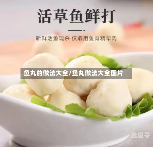 鱼丸的做法大全/鱼丸做法大全图片