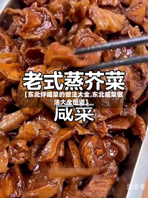 【东北烀咸菜的做法大全,东北咸菜做法大全图谱】-第3张图片
