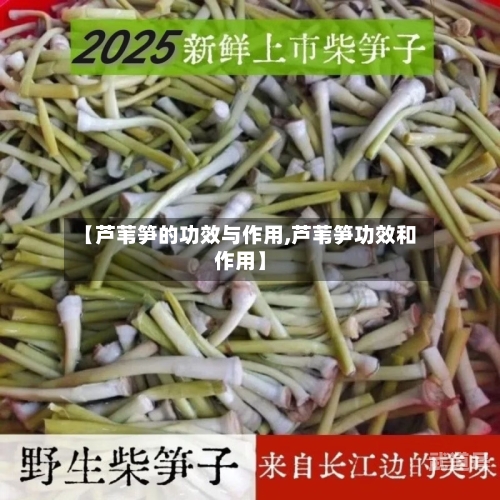 【芦苇笋的功效与作用,芦苇笋功效和作用】