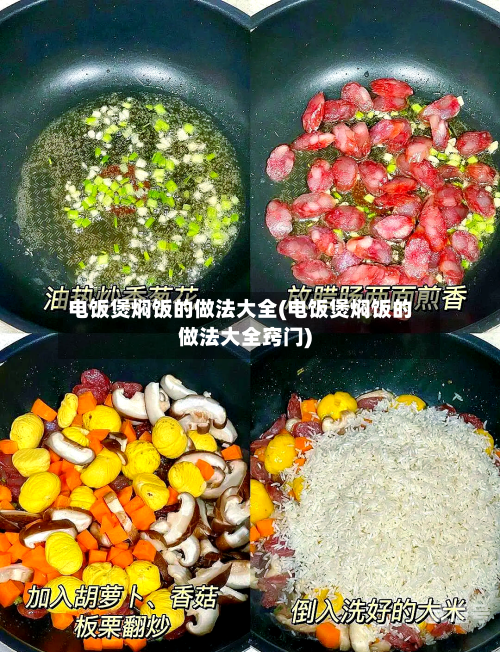 电饭煲焖饭的做法大全(电饭煲焖饭的做法大全窍门)