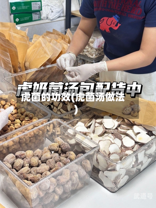 虎菌的功效(虎菌汤做法)