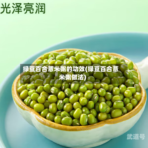 绿豆百合薏米粥的功效(绿豆百合薏米粥做法)
