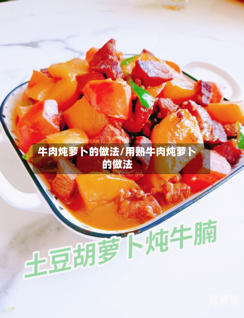 牛肉炖萝卜的做法/用熟牛肉炖萝卜的做法