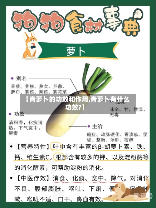 【青萝卜的功效和作用,青萝卜有什么功效?】