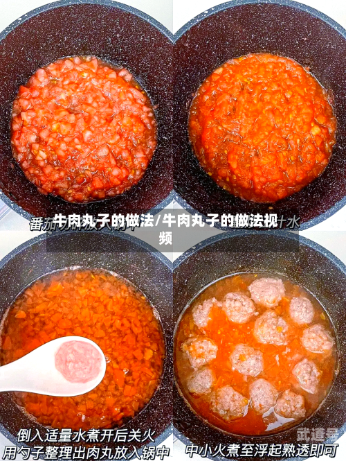 牛肉丸子的做法/牛肉丸子的做法视频