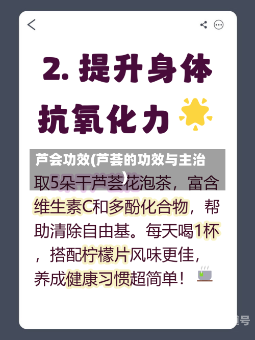 芦会功效(芦荟的功效与主治)