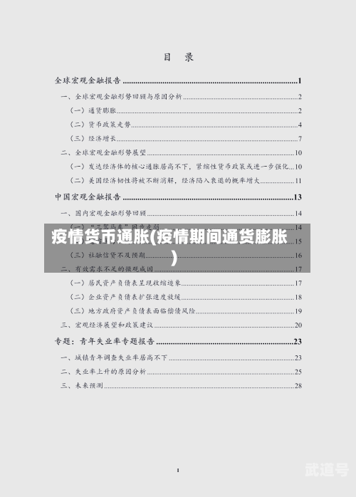 疫情货币通胀(疫情期间通货膨胀)