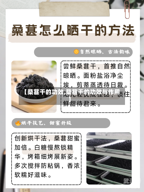 【桑葚干的功效,桑葚干的功效与作用】