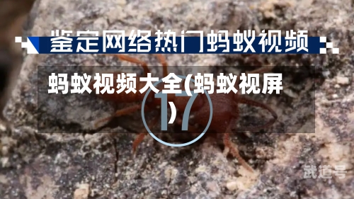 蚂蚁视频大全(蚂蚁视屏)