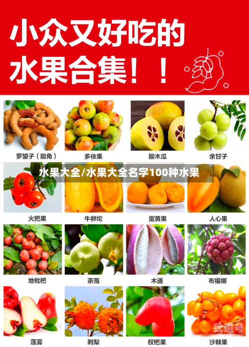 水果大全/水果大全名字100种水果-第3张图片