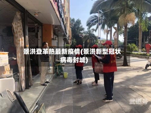 景洪登革热最新疫情(景洪新型冠状病毒封城)