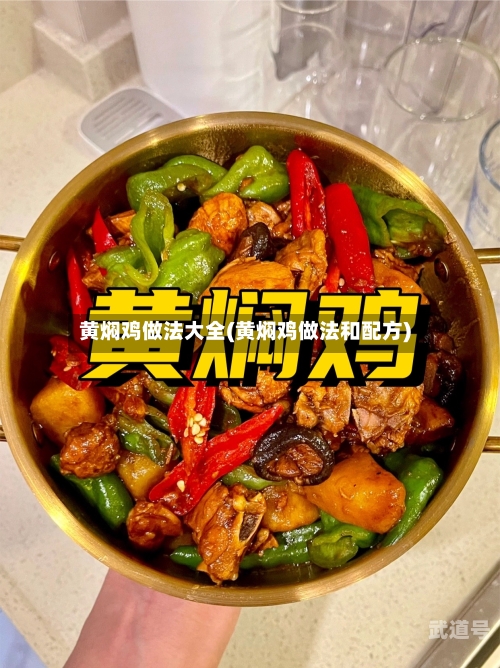 黄焖鸡做法大全(黄焖鸡做法和配方)