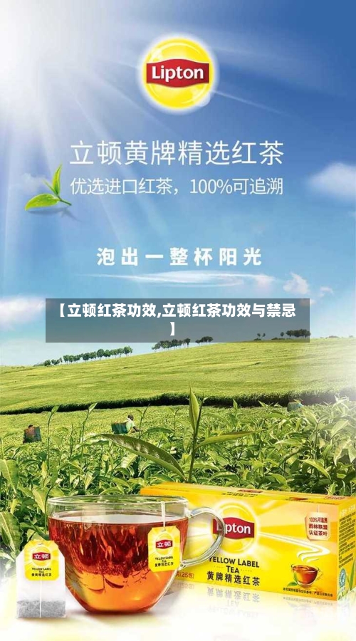【立顿红茶功效,立顿红茶功效与禁忌】-第3张图片
