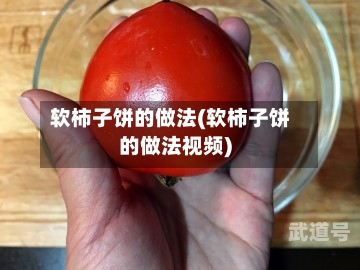 软柿子饼的做法(软柿子饼的做法视频)