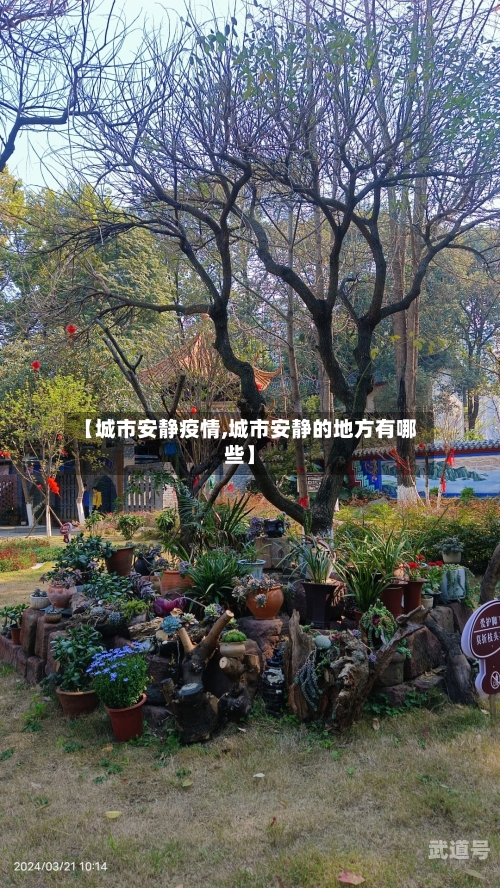 【城市安静疫情,城市安静的地方有哪些】