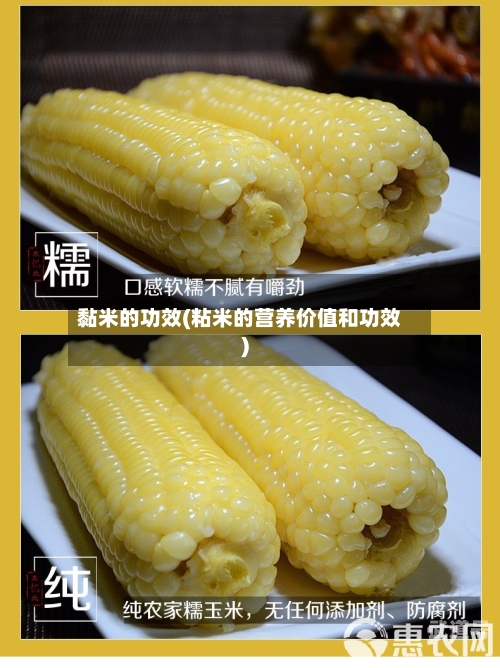 黏米的功效(粘米的营养价值和功效)