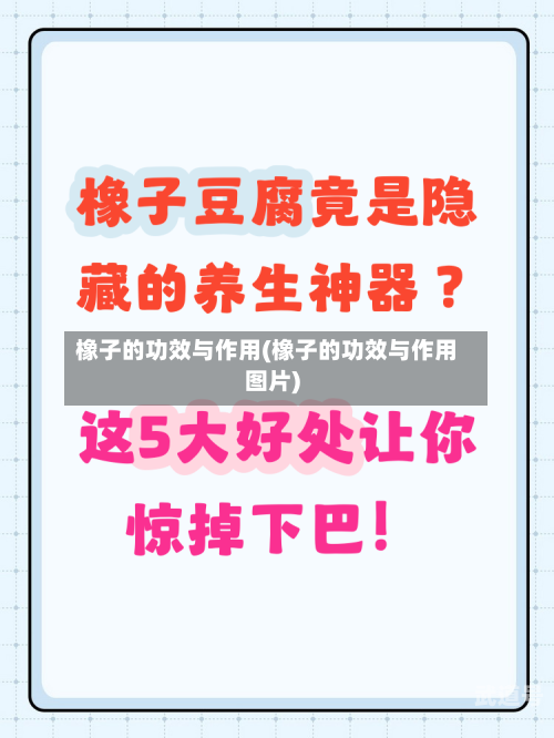 橡子的功效与作用(橡子的功效与作用图片)