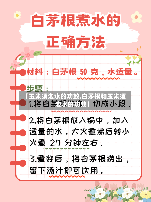 【玉米须泡水的功效,白矛根和玉米须泡水的功效】