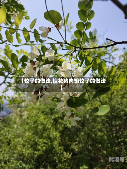 【饺子的做法,槐花猪肉馅饺子的做法】-第3张图片