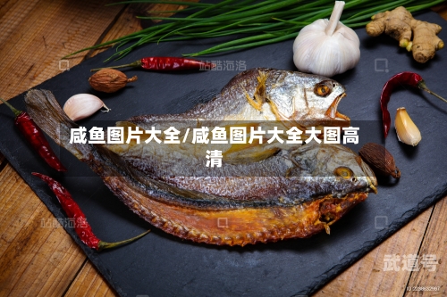 咸鱼图片大全/咸鱼图片大全大图高清