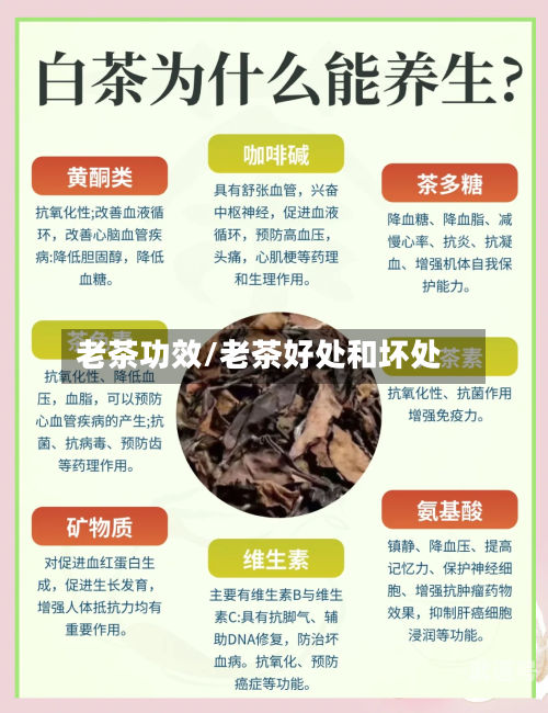 老茶功效/老茶好处和坏处