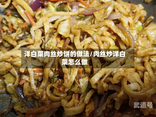 洋白菜肉丝炒饼的做法/肉丝炒洋白菜怎么做