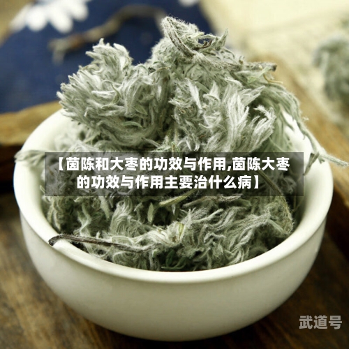 【茵陈和大枣的功效与作用,茵陈大枣的功效与作用主要治什么病】