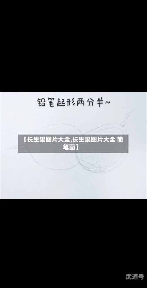 【长生果图片大全,长生果图片大全 简笔画】