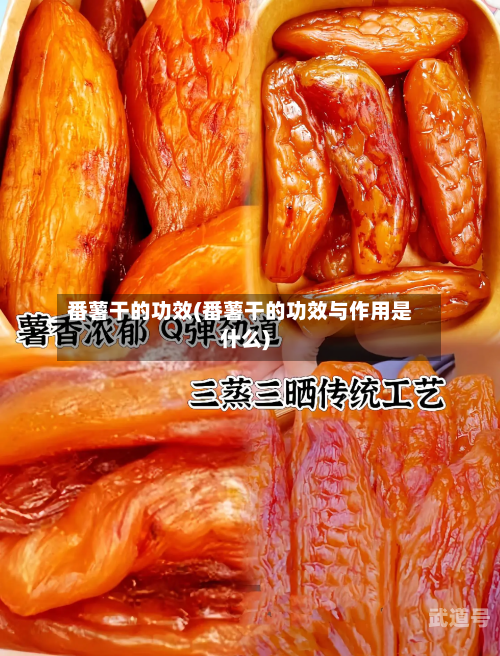 番薯干的功效(番薯干的功效与作用是什么)-第3张图片