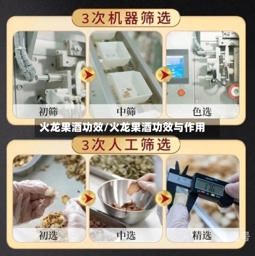 火龙果酒功效/火龙果酒功效与作用