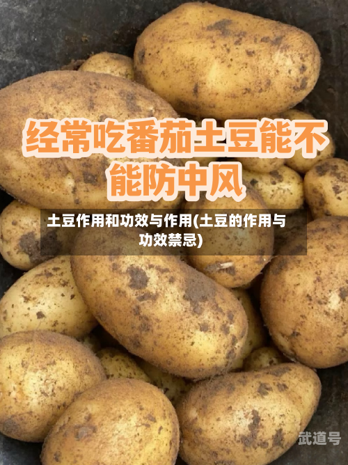 土豆作用和功效与作用(土豆的作用与功效禁忌)