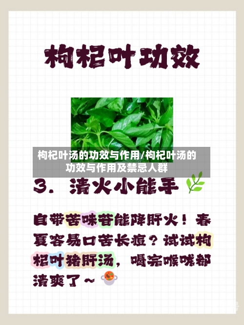 枸杞叶汤的功效与作用/枸杞叶汤的功效与作用及禁忌人群