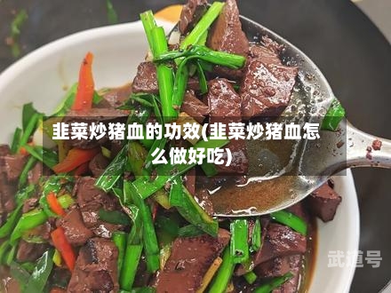 韭菜炒猪血的功效(韭菜炒猪血怎么做好吃)