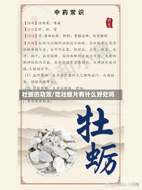 壮蛎的功效/吃壮蛎片有什么好处吗