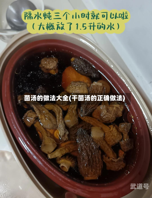 菌汤的做法大全(干菌汤的正确做法)-第3张图片