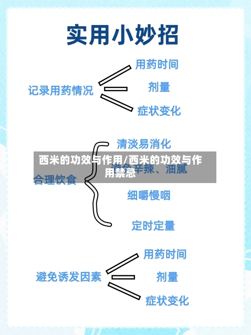 西米的功效与作用/西米的功效与作用禁忌