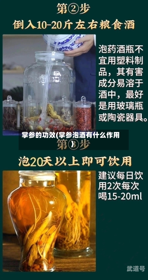 掌参的功效(掌参泡酒有什么作用)