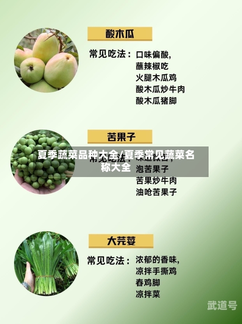 夏季蔬菜品种大全/夏季常见蔬菜名称大全