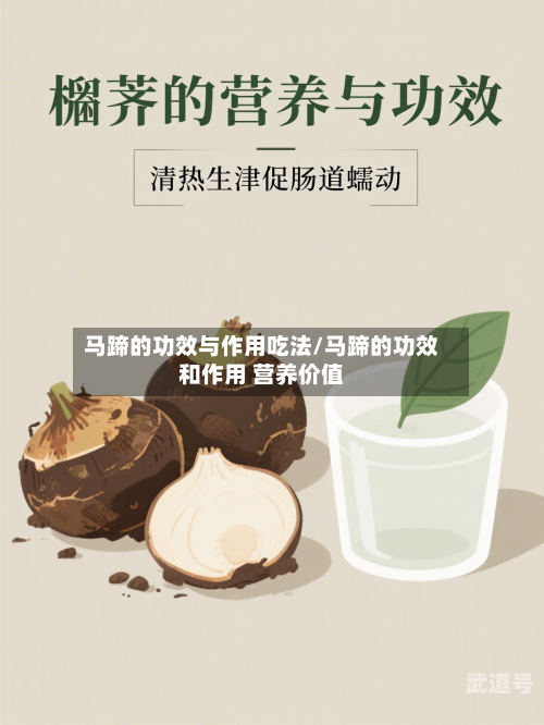 马蹄的功效与作用吃法/马蹄的功效和作用 营养价值