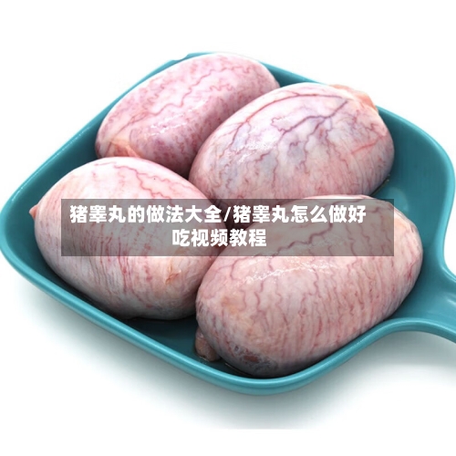 猪睾丸的做法大全/猪睾丸怎么做好吃视频教程