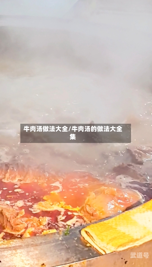 牛肉汤做法大全/牛肉汤的做法大全集