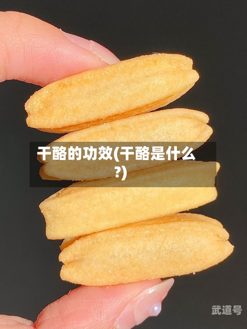 干酪的功效(干酪是什么?)