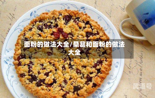 面粉的做法大全/桑葚和面粉的做法大全