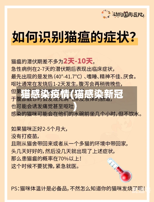 猫感染疫情(猫感染新冠)