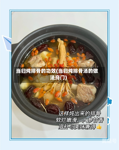 当归炖排骨的功效(当归炖排骨汤的做法窍门)